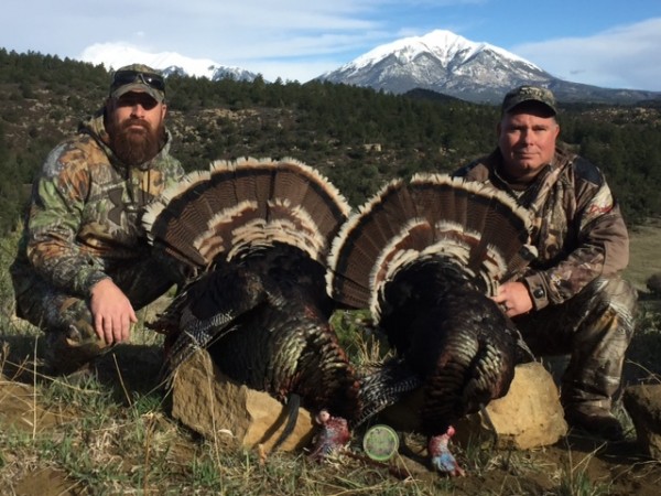 Turkey Hunting in Colorado