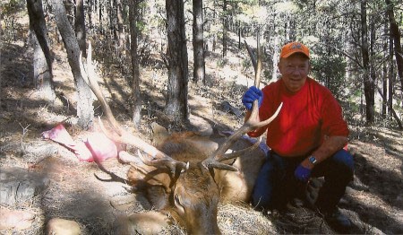 Colorado Bull Elk 2009