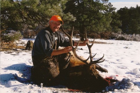 Bull Elk 2009