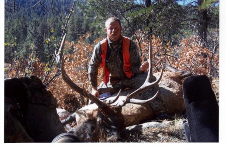 Colorado Bull Harvest 2009