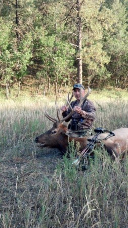 2012 5x5 Elk