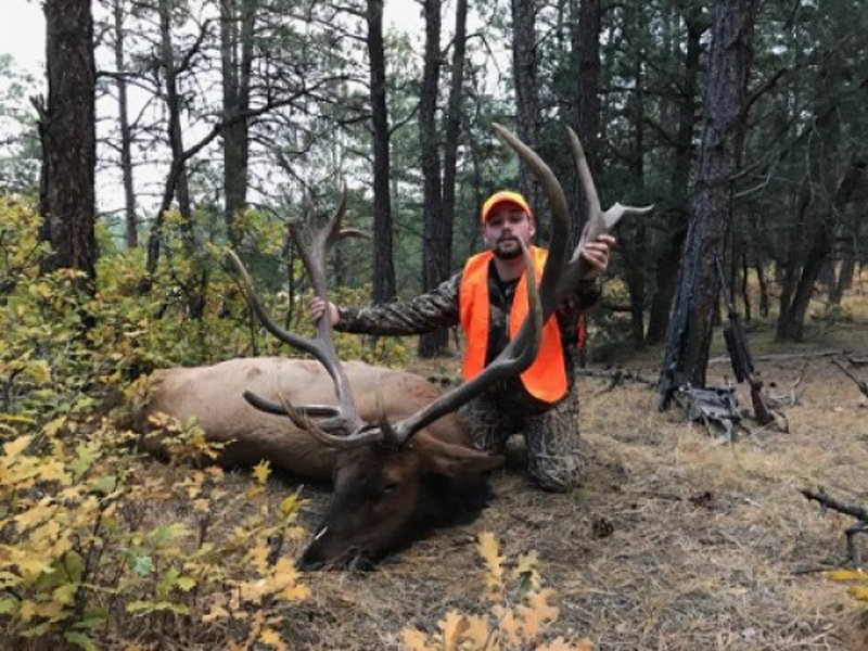 Elk Hunting in Co