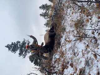 Colorado Hunting 2023 0