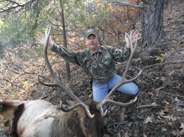 Unguided Colorado Elk Hunting Mule