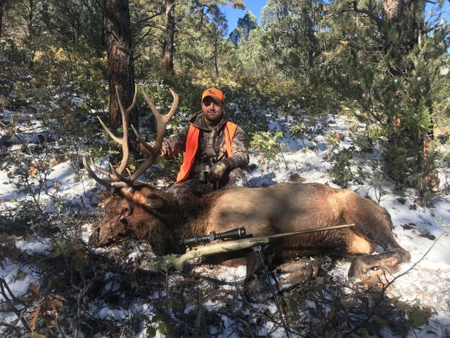 Colorado Elk Hunt