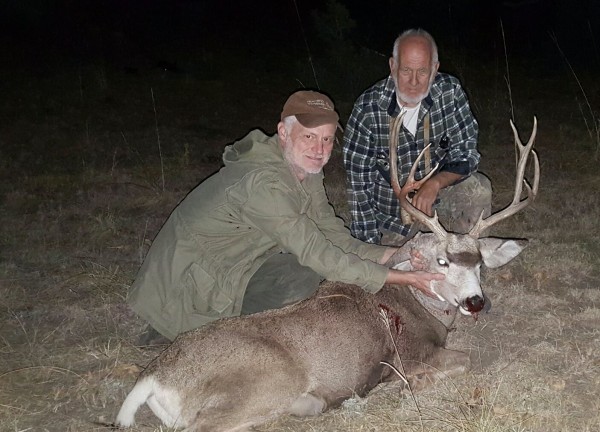 Mule Deer Hunting in CO