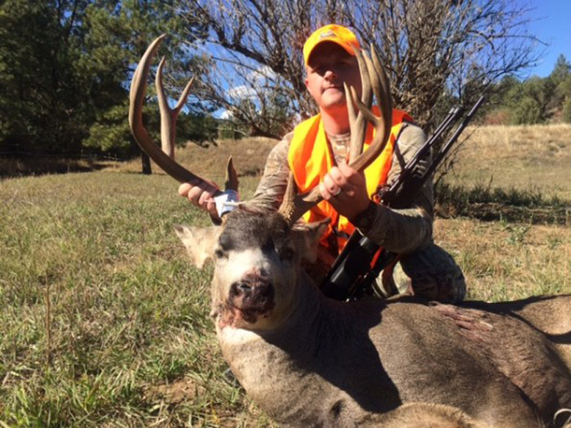 Mule Deer Hunting in Co