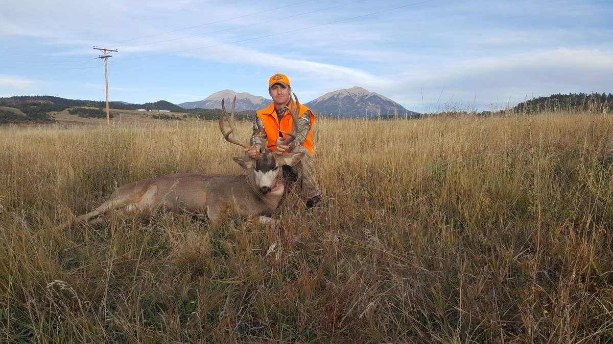 2017 Mule Deer 0