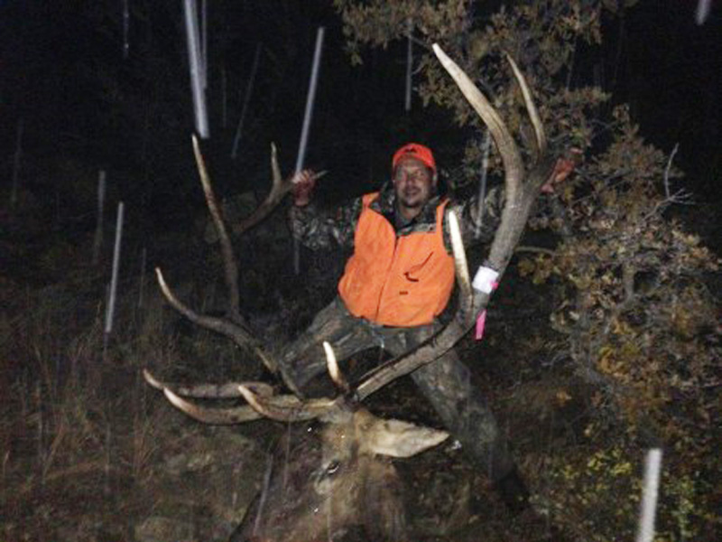 Elk Hunting in Colorado